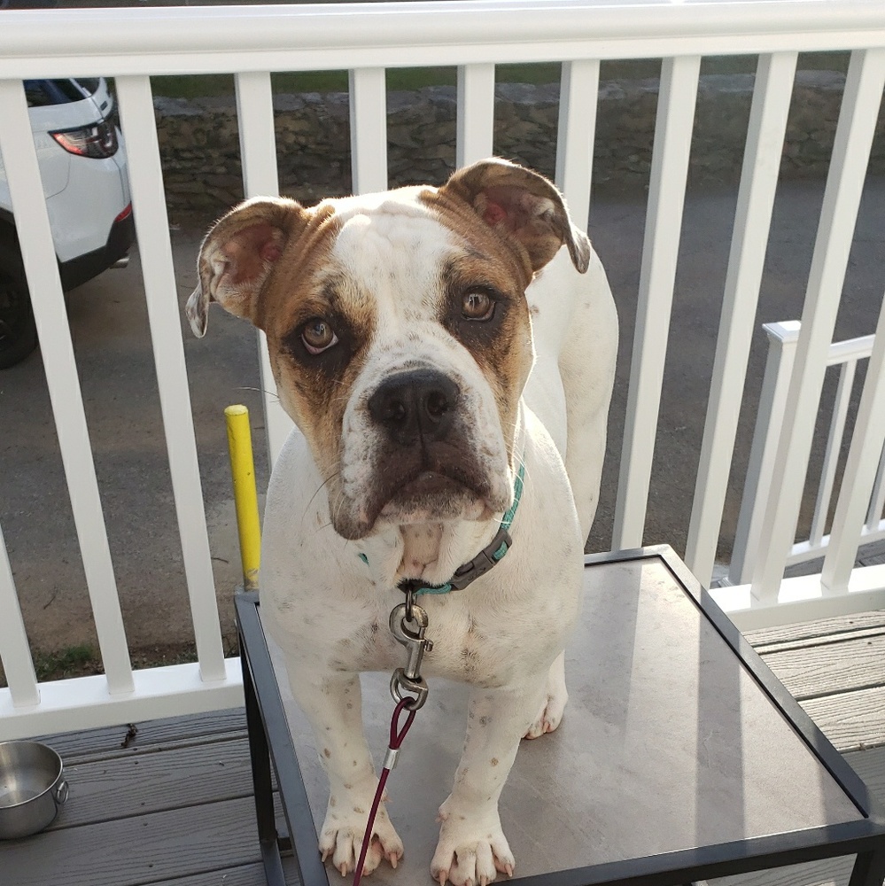 Meet your Posher, Luisa